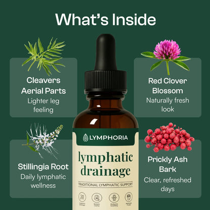 Lymphatic Drainage Wellness Drops